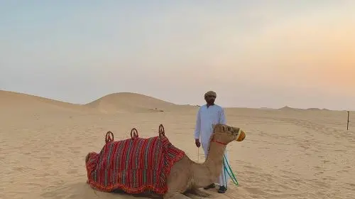 Abu Dhabi Sunset Dune Bashing at Rose Camp with Camel Ride Around Oasis Show + Transfer & Buffet Day Tours Abu Dhabi Sunset Dune Bashing at Rose Camp with Camel Ride Around Oasis Show + Transfer & Buffet Day Tours in Abu Dhabi - Photo 2
