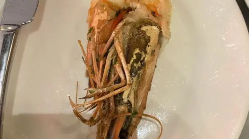 Dubai Markette influencer restaurant reservation service in Dubai - Photo 2