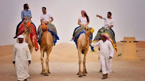 Abu Dhabi Al Khayma Seahorse Morning Dune Bashing Experience Day Tours in Abu Dhabi