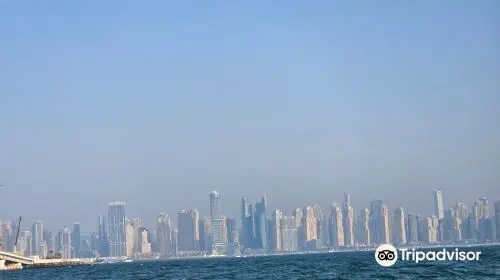 The Yellow Boats in Dubai