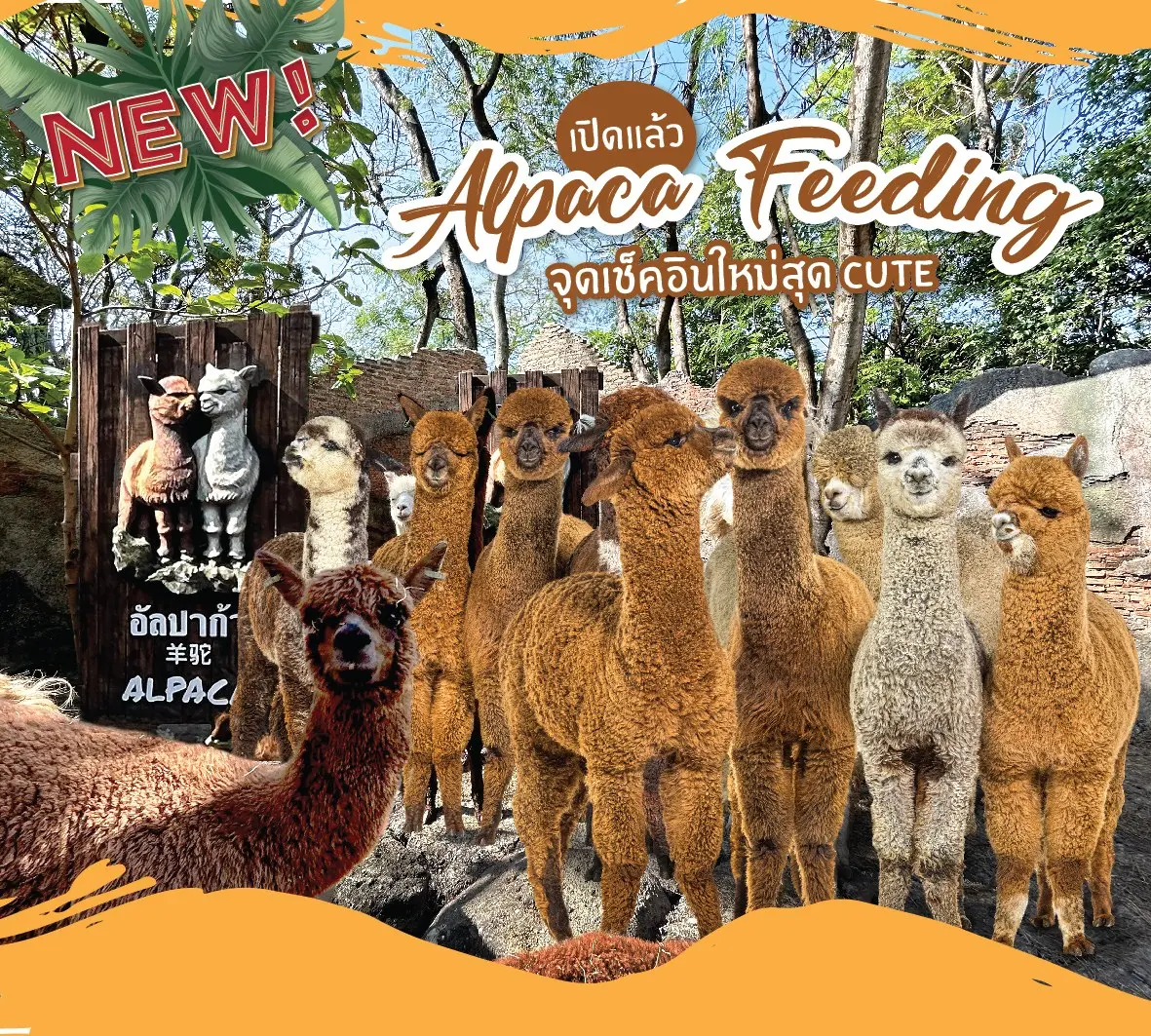 Safari World Bangkok Ticket in Bangkok - Photo 7
