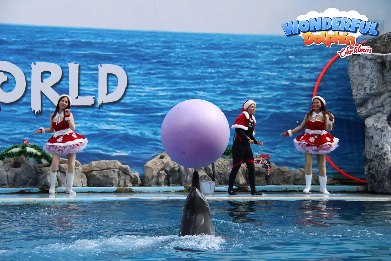 Safari World Bangkok Ticket in Bangkok - Photo 8
