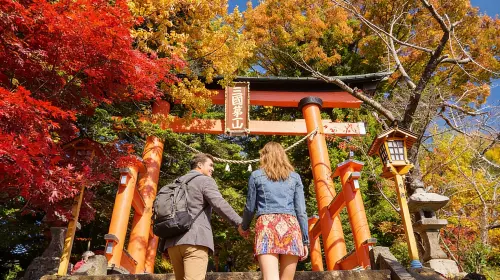 Japan Tokyo Mt. Fuji Lake Kawaguchi & Yamanakako & Lawson/Hikkawa one-day tour|Internet celebrity panoramic check-in Day Tours in Tokyo