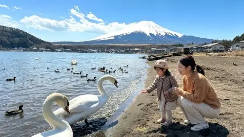 Japan Tokyo Mt. Fuji Lake Kawaguchi & Yamanakako & Lawson/Hikkawa one-day tour|Internet celebrity panoramic check-in Day Tours in Tokyo - Photo 4