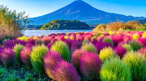 Japan Tokyo Mt. Fuji Lake Kawaguchi & Yamanakako & Lawson/Hikkawa one-day tour|Internet celebrity panoramic check-in Day Tours in Tokyo - Photo 7