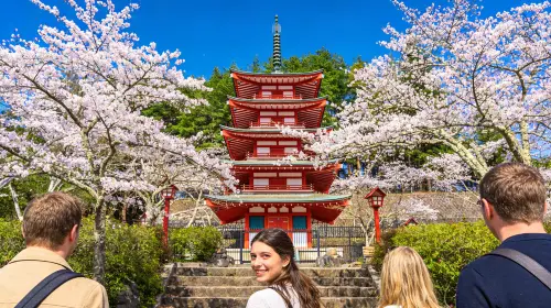 Japan Tokyo Mt. Fuji Lake Kawaguchi & Yamanakako & Lawson/Hikkawa one-day tour|Internet celebrity panoramic check-in Day Tours in Tokyo - Photo 5