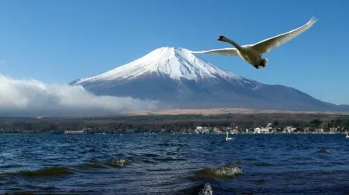Solo friendly 1-day tour from Tokyo to Mount Fuji: outlet shopping, twin lakes sightseeing & Hikawa clock shop | optional 9-person group Day Tours in Tokyo - Photo 3