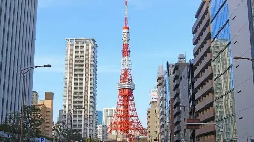 Tokyo Walking Tour : Sumo, Sushi, Tea, Temples and Tokyo Tower Day Tours Tokyo Walking Tour : Sumo, Sushi, Tea, Temples and Tokyo Tower Day Tours in Tokyo - Photo 7