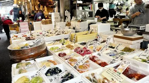 Tokyo Walking Tour : Sumo, Sushi, Tea, Temples and Tokyo Tower Day Tours Tokyo Walking Tour : Sumo, Sushi, Tea, Temples and Tokyo Tower Day Tours in Tokyo - Photo 3