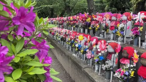 Tokyo Walking Tour : Sumo, Sushi, Tea, Temples and Tokyo Tower Day Tours in Tokyo