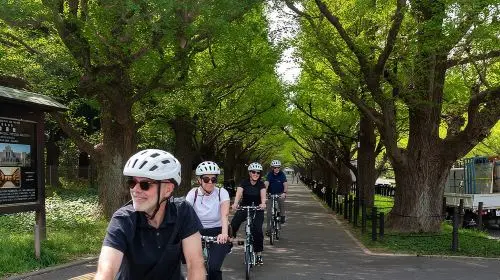 3-Hour Tokyo Private E-Bike Tour Starting from Your Hotel Day Tours 3-Hour Tokyo Private E-Bike Tour Starting from Your Hotel Day Tours in Tokyo - Photo 3