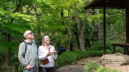 3-Hour Tokyo Private E-Bike Tour Starting from Your Hotel Day Tours 3-Hour Tokyo Private E-Bike Tour Starting from Your Hotel Day Tours in Tokyo - Photo 2