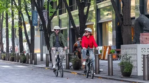 3-Hour Tokyo Private E-Bike Tour Starting from Your Hotel Day Tours 3-Hour Tokyo Private E-Bike Tour Starting from Your Hotel Day Tours in Tokyo - Photo 9