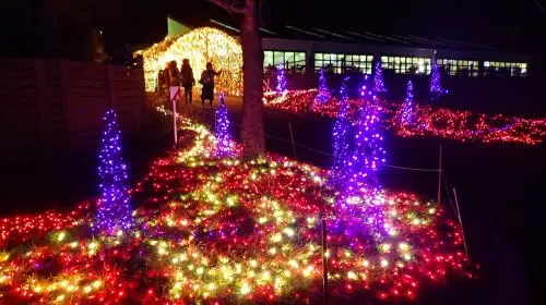 Mother Farm in Tokyo