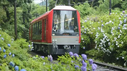 Hakone Freepass Transport Passes in Tokyo - Photo 2