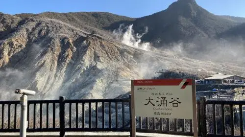 Hakone Freepass Transport Passes in Tokyo - Photo 4