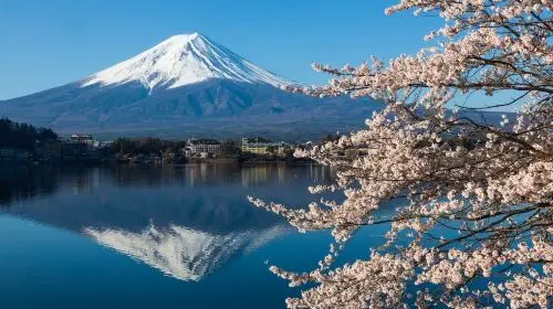 [VIP LINER] Round-trip Tokyo to Kawaguchiko One-Way Express Bus Ticket | Direct from Tokyo Station & Akihabara Station Transport Passes in Tokyo - Photo 5