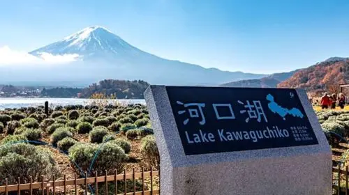 [VIP LINER] Round-trip Tokyo to Kawaguchiko One-Way Express Bus Ticket | Direct from Tokyo Station & Akihabara Station Transport Passes in Tokyo - Photo 3