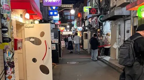 Tokyo Bar Hopping Tour in Shinjuku (All-You-Can-Drink + Dinner) Day Tours in Tokyo