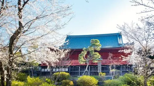 Tokyo Ueno Ukiyo-e Historical Tour + Tokyo National Museum Day Tours in Tokyo - Photo 5