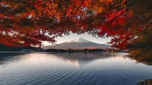 Classic Mount Fuji Route: Lake Kawaguchi + Arakurayama Sengen Park + Lawson One-Day Tour|Fly From Tokyo Day Tours in Tokyo - Photo 5