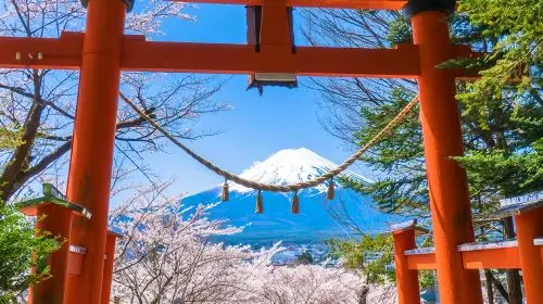 Mount Fuji In-Depth 1-Day Tour: Lake Kawaguchi Cable Car/Cruise & Fuji Mountain Train & Instagrammable Spots Day Tours in Tokyo - Photo 5