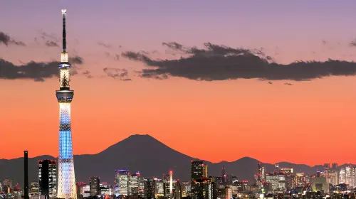 Tokyo City Private Charter 1-Day Tour [Popular City Attractions]|Hotel Transfer|Attractions in the itinerary can be customized. Day Tours in Tokyo - Photo 7