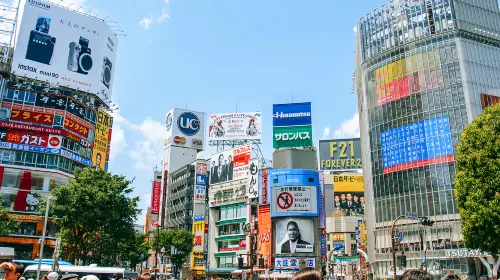 Tokyo City Private Charter 1-Day Tour [Popular City Attractions]|Hotel Transfer|Attractions in the itinerary can be customized. Day Tours in Tokyo - Photo 5