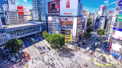 Tokyo City Private Charter 1-Day Tour [Popular City Attractions]|Hotel Transfer|Attractions in the itinerary can be customized. Day Tours in Tokyo - Photo 4