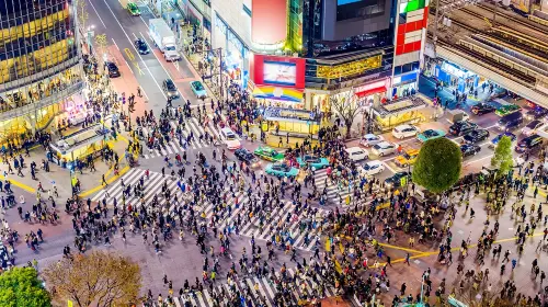 Tokyo City Private Charter 1-Day Tour [Popular City Attractions]|Hotel Transfer|Attractions in the itinerary can be customized. Day Tours in Tokyo - Photo 3