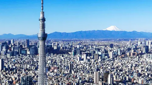 Tokyo City Private Charter 1-Day Tour [Popular City Attractions]|Hotel Transfer|Attractions in the itinerary can be customized. Day Tours in Tokyo - Photo 8