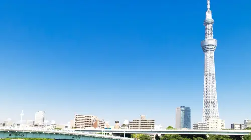 Tokyo City Private Charter 1-Day Tour [Popular City Attractions]|Hotel Transfer|Attractions in the itinerary can be customized. Day Tours in Tokyo - Photo 9