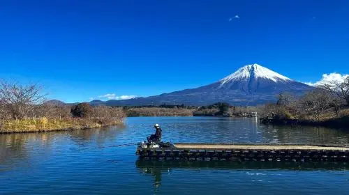 Mt. Fuji Makaino Ranch + Lake Tanuki Day Trip (Small Group Max 9 | Hotel Pick-up Option) Day Tours in Tokyo