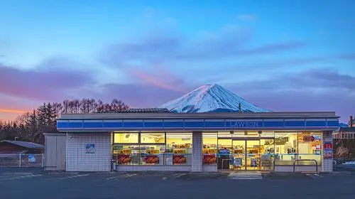 Mt. Fuji Makaino Ranch + Lake Tanuki Day Trip (Small Group Max 9 | Hotel Pick-up Option) Day Tours in Tokyo - Photo 6