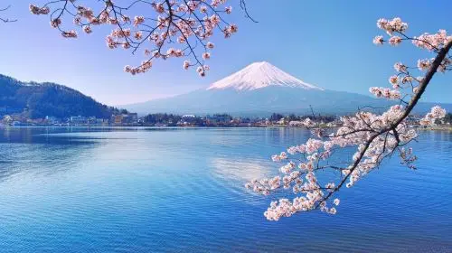 Mt. Fuji Makaino Ranch + Lake Tanuki Day Trip (Small Group Max 9 | Hotel Pick-up Option) Day Tours in Tokyo - Photo 2
