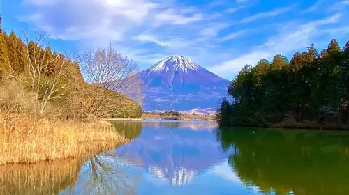 Mt. Fuji Makaino Ranch + Lake Tanuki Day Trip (Small Group Max 9 | Hotel Pick-up Option) Day Tours in Tokyo - Photo 7