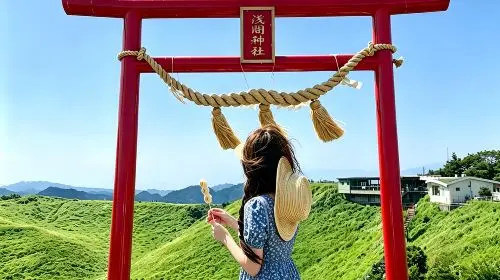 Japan Tokyo Izu 1-day tour: Mt. Omuro + zoo + scenic train experience + Jogasaki Coast Day Tours in Tokyo - Photo 3