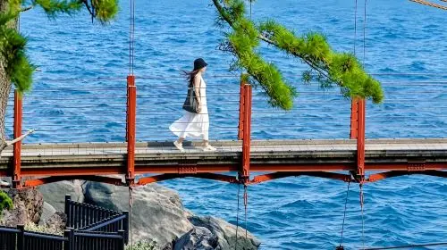 Japan Tokyo Izu 1-day tour: Mt. Omuro + zoo + scenic train experience + Jogasaki Coast Day Tours in Tokyo - Photo 6