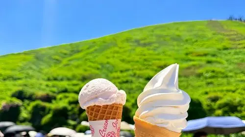 Japan Tokyo Izu 1-day tour: Mt. Omuro + zoo + scenic train experience + Jogasaki Coast Day Tours in Tokyo - Photo 4