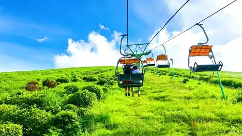 Japan Tokyo Izu 1-day tour: Mt. Omuro + zoo + scenic train experience + Jogasaki Coast Day Tours in Tokyo - Photo 8