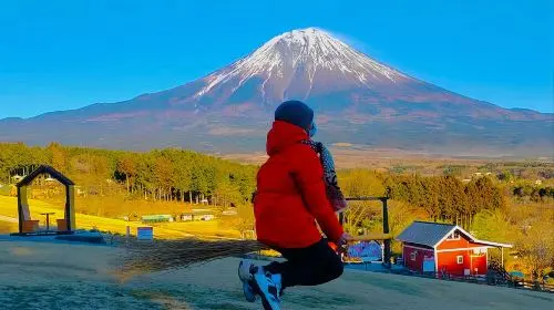 Tokyo Mount Fuji Six Popular Attractions Day Tour - 6-49 Person Premium Group|Optional transfers Day Tours in Tokyo - Photo 2