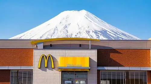 Tokyo Mount Fuji Six Popular Attractions Day Tour - 6-49 Person Premium Group|Optional transfers Day Tours in Tokyo - Photo 4
