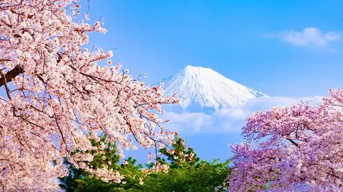 Tokyo Mount Fuji Six Popular Attractions Day Tour - 6-49 Person Premium Group|Optional transfers Day Tours in Tokyo - Photo 8