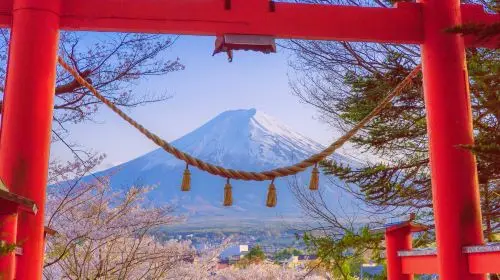 Tokyo Mt. Fuji 5th Station, Oshino Hakkai, Gotemba Premium Outlets, or optional day trip to an onsen (hot spring) at your own expense. Day Tours in Tokyo - Photo 7