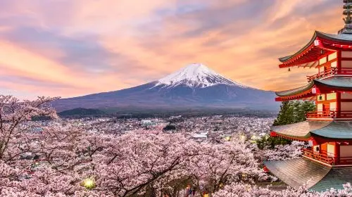 Tokyo Mt. Fuji 5th Station, Oshino Hakkai, Gotemba Premium Outlets, or optional day trip to an onsen (hot spring) at your own expense. Day Tours in Tokyo - Photo 8