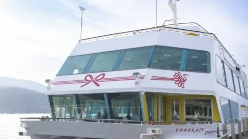 Fuji-Hakone: Day Tour from Tokyo + Return by Shinkansen + Optional Lunch Day Tours in Tokyo - Photo 5