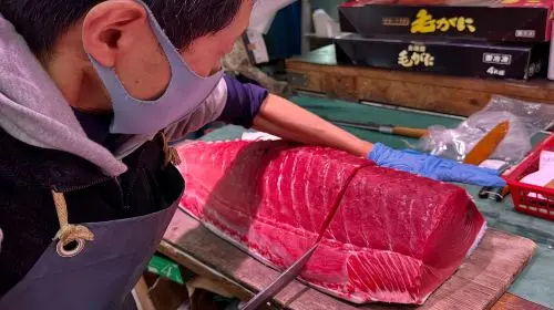Tokyo: Toyosu Tuna Auction &Tsukiji Market Gourmet Adventure Day Tours in Tokyo