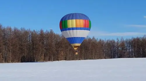 Exclusive for Overseas Travelers: Hot Air Balloon Free Flight Experience Course in Tokyo