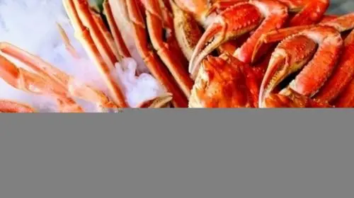 Kani Sanmi Kichijoji Branch: All-You-Can-Eat King Crab and Snow Crab Package in Tokyo - Photo 7