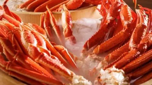 Kani Sanmi Kichijoji Branch: All-You-Can-Eat King Crab and Snow Crab Package in Tokyo - Photo 5